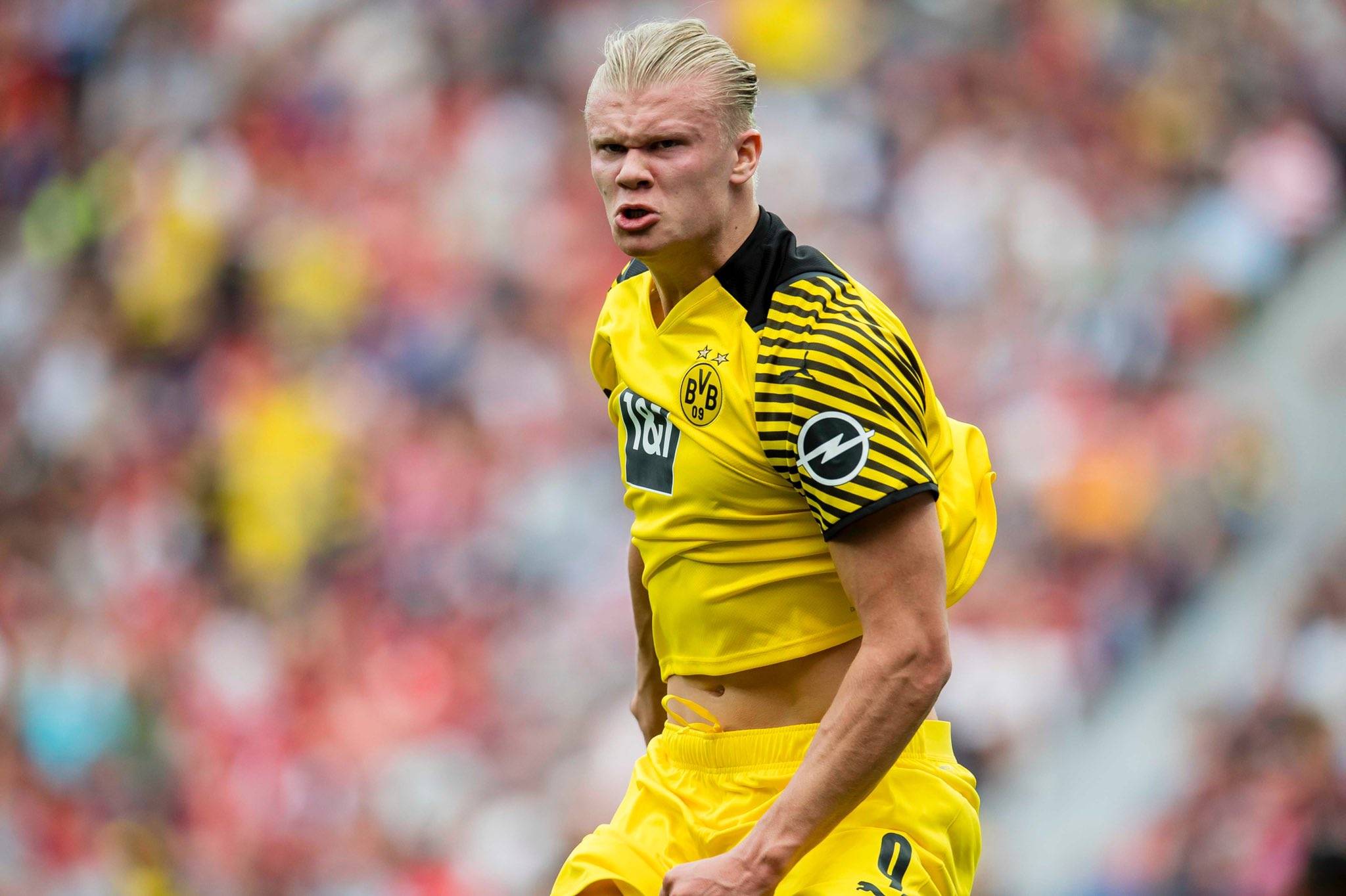 德媒：马延达在桑德兰机会寥寥，法鹰、斯图和狼堡关注（德媒：马延达在桑德兰难获机会，尼斯、斯图加特与沃尔夫斯堡关注）